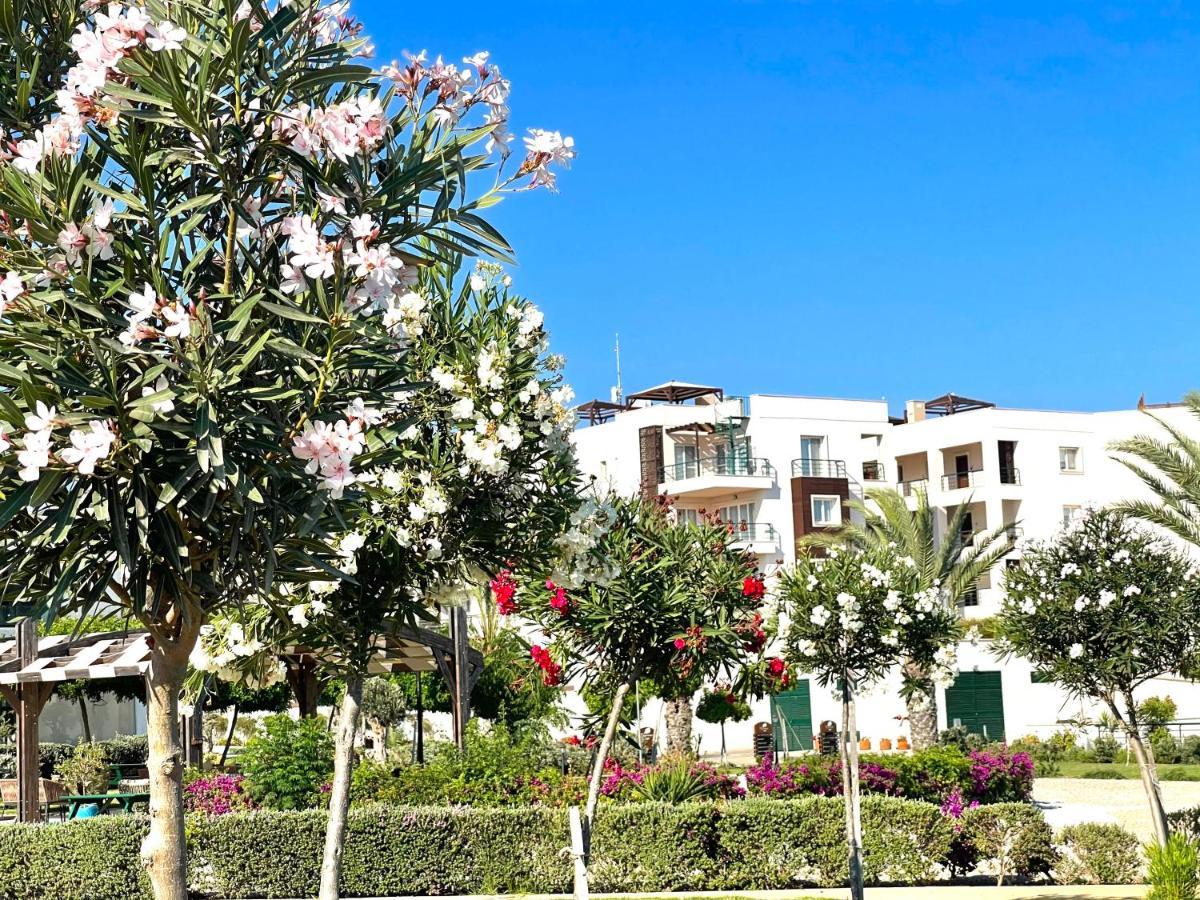 Peaceful Oasis At The *