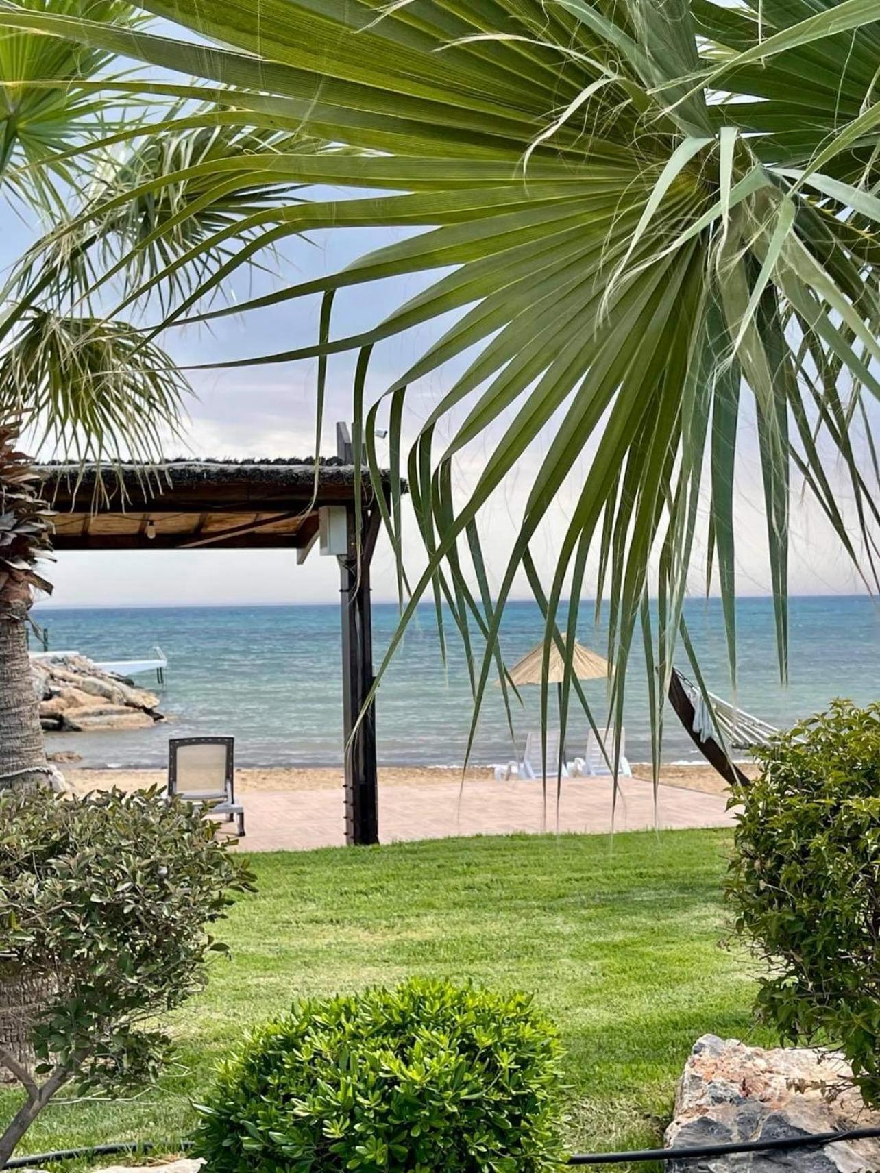 Peaceful Oasis At The