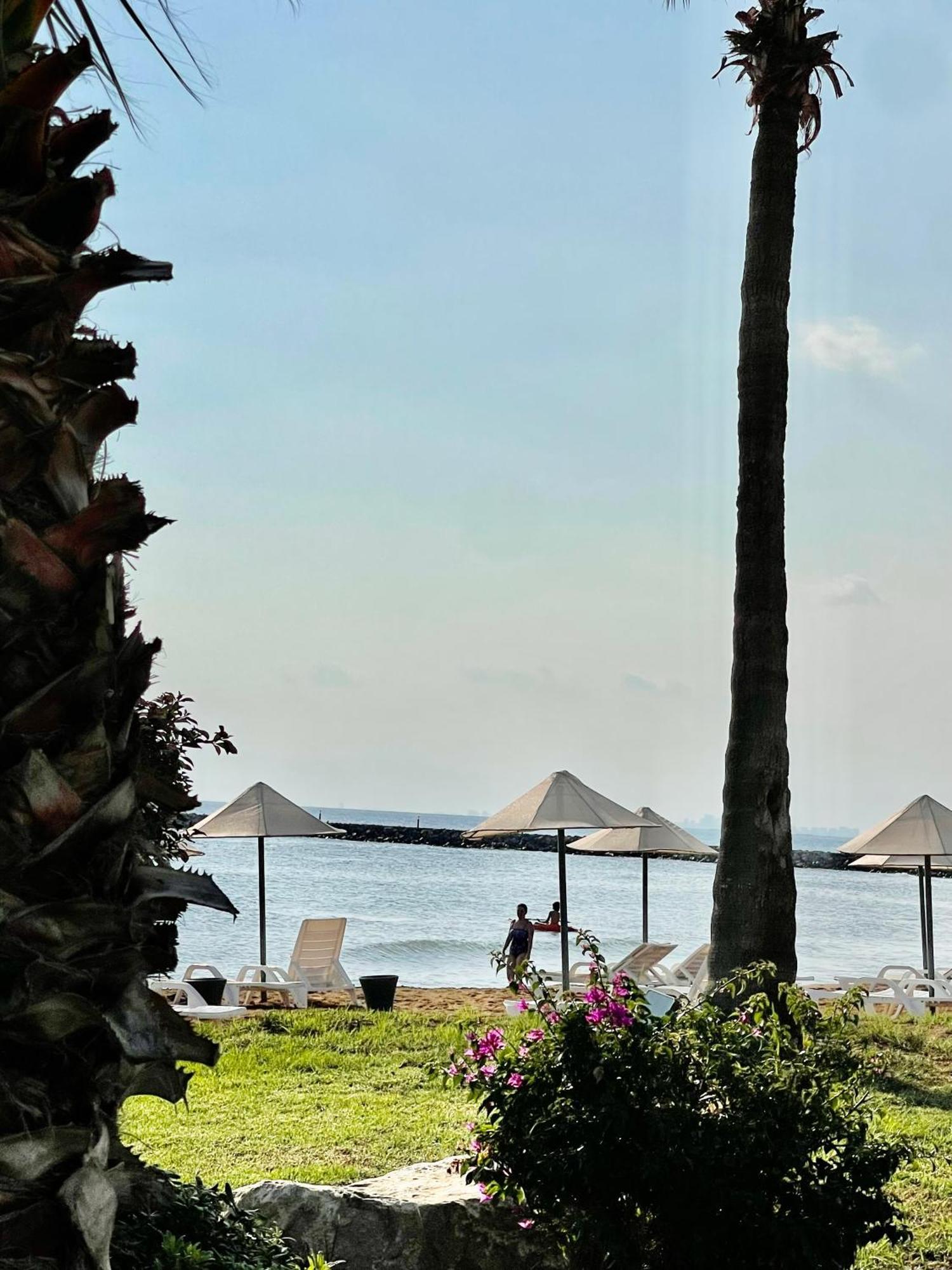 Peaceful Oasis At The