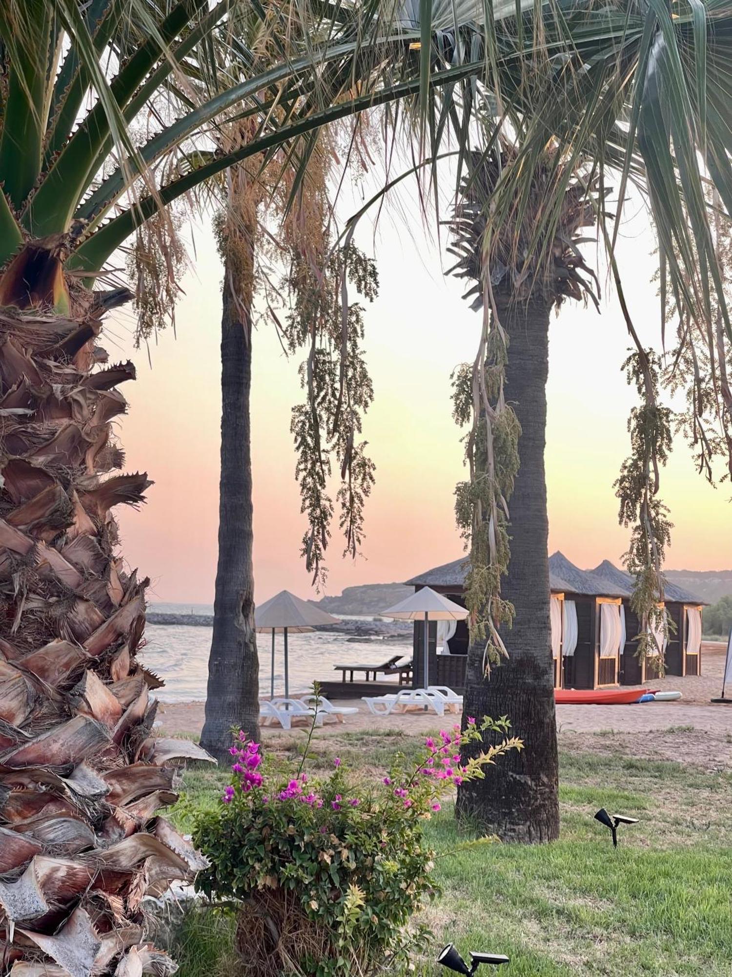Peaceful Oasis At The